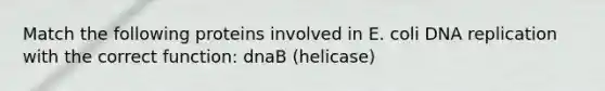 Match the following proteins involved in E. coli DNA replication with the correct function: dnaB (helicase)