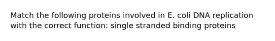 Match the following proteins involved in E. coli DNA replication with the correct function: single stranded binding proteins