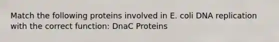 Match the following proteins involved in E. coli DNA replication with the correct function: DnaC Proteins