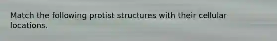 Match the following protist structures with their cellular locations.