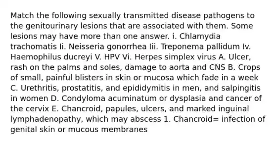 Match the following sexually transmitted disease pathogens to the genitourinary lesions that are associated with them. Some lesions may have more than one answer. i. Chlamydia trachomatis Ii. Neisseria gonorrhea Iii. Treponema pallidum Iv. Haemophilus ducreyi V. HPV Vi. Herpes simplex virus A. Ulcer, rash on the palms and soles, damage to aorta and CNS B. Crops of small, painful blisters in skin or mucosa which fade in a week C. Urethritis, prostatitis, and epididymitis in men, and salpingitis in women D. Condyloma acuminatum or dysplasia and cancer of the cervix E. Chancroid, papules, ulcers, and marked inguinal lymphadenopathy, which may abscess 1. Chancroid= infection of genital skin or mucous membranes