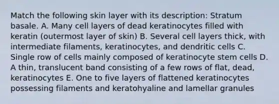 Match the following skin layer with its description: Stratum basale. A. Many cell layers of dead keratinocytes filled with keratin (outermost layer of skin) B. Several cell layers thick, with intermediate filaments, keratinocytes, and dendritic cells C. Single row of cells mainly composed of keratinocyte stem cells D. A thin, translucent band consisting of a few rows of flat, dead, keratinocytes E. One to five layers of flattened keratinocytes possessing filaments and keratohyaline and lamellar granules