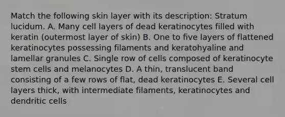 Match the following skin layer with its description: Stratum lucidum. A. Many cell layers of dead keratinocytes filled with keratin (outermost layer of skin) B. One to five layers of flattened keratinocytes possessing filaments and keratohyaline and lamellar granules C. Single row of cells composed of keratinocyte stem cells and melanocytes D. A thin, translucent band consisting of a few rows of flat, dead keratinocytes E. Several cell layers thick, with intermediate filaments, keratinocytes and dendritic cells