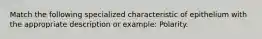 Match the following specialized characteristic of epithelium with the appropriate description or example: Polarity.