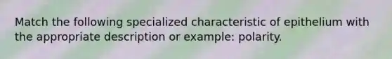 Match the following specialized characteristic of epithelium with the appropriate description or example: polarity.