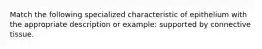 Match the following specialized characteristic of epithelium with the appropriate description or example: supported by connective tissue.