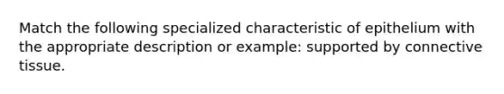 Match the following specialized characteristic of epithelium with the appropriate description or example: supported by connective tissue.