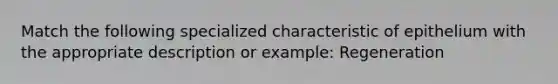 Match the following specialized characteristic of epithelium with the appropriate description or example: Regeneration