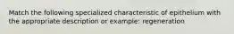 Match the following specialized characteristic of epithelium with the appropriate description or example: regeneration