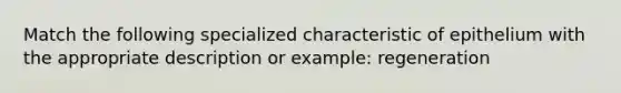 Match the following specialized characteristic of epithelium with the appropriate description or example: regeneration