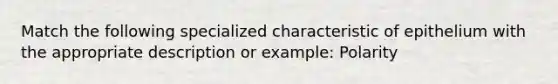 Match the following specialized characteristic of epithelium with the appropriate description or example: Polarity