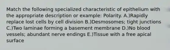 Match the following specialized characteristic of epithelium with the appropriate description or example: Polarity. A.)Rapidly replace lost cells by <a href='https://www.questionai.com/knowledge/kjHVAH8Me4-cell-division' class='anchor-knowledge'>cell division</a> B.)Desmosomes; tight junctions C.)Two laminae forming a basement membrane D.)No <a href='https://www.questionai.com/knowledge/kZJ3mNKN7P-blood-vessels' class='anchor-knowledge'>blood vessels</a>; abundant nerve endings E.)Tissue with a free apical surface