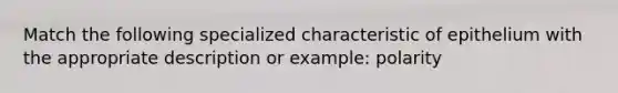 Match the following specialized characteristic of epithelium with the appropriate description or example: polarity