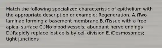 Match the following specialized characteristic of epithelium with the appropriate description or example: Regeneration. A.)Two laminae forming a basement membrane B.)Tissue with a free apical surface C.)No blood vessels; abundant nerve endings D.)Rapidly replace lost cells by cell division E.)Desmosomes; tight junctions