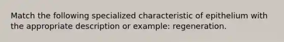 Match the following specialized characteristic of epithelium with the appropriate description or example: regeneration.