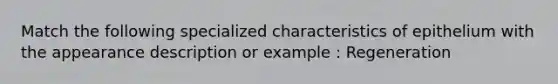 Match the following specialized characteristics of epithelium with the appearance description or example : Regeneration