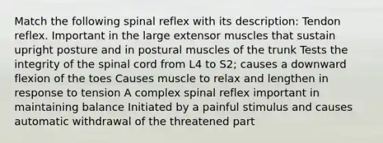 Match the following spinal reflex with its description: Tendon reflex. Important in the large extensor muscles that sustain upright posture and in postural muscles of the trunk Tests the integrity of <a href='https://www.questionai.com/knowledge/kkAfzcJHuZ-the-spinal-cord' class='anchor-knowledge'>the spinal cord</a> from L4 to S2; causes a downward flexion of the toes Causes muscle to relax and lengthen in response to tension A complex spinal reflex important in maintaining balance Initiated by a painful stimulus and causes automatic withdrawal of the threatened part