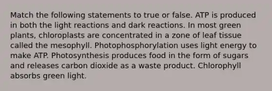 Match the following statements to true or false. ATP is produced in both the light reactions and dark reactions. In most green plants, chloroplasts are concentrated in a zone of leaf tissue called the mesophyll. Photophosphorylation uses light energy to make ATP. Photosynthesis produces food in the form of sugars and releases carbon dioxide as a waste product. Chlorophyll absorbs green light.