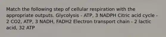 Match the following step of cellular respiration with the appropriate outputs. Glycolysis - ATP, 3 NADPH Citric acid cycle - 2 CO2, ATP, 3 NADH, FADH2 Electron transport chain - 2 lactic acid, 32 ATP