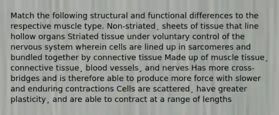 Match the following structural and functional differences to the respective muscle type. Non-striated¸ sheets of tissue that line hollow organs Striated tissue under voluntary control of the nervous system wherein cells are lined up in sarcomeres and bundled together by connective tissue Made up of muscle tissue¸ connective tissue¸ blood vessels¸ and nerves Has more cross-bridges and is therefore able to produce more force with slower and enduring contractions Cells are scattered¸ have greater plasticity¸ and are able to contract at a range of lengths