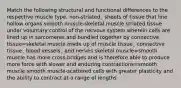 Match the following structural and functional differences to the respective muscle type. non-striated¸ sheets of tissue that line hollow organs smooth muscle-skeletal muscle striated tissue under voluntary control of the nervous system wherein cells are lined up in sarcomeres and bundled together by connective tissue=skeletal muscle made up of muscle tissue¸ connective tissue¸ blood vessels¸ and nerves skeletal muscle=smooth muscle has more cross-bridges and is therefore able to produce more force with slower and enduring contractions=smooth muscle smooth muscle-scattered cells with greater plasticity and the ability to contract at a range of lengths