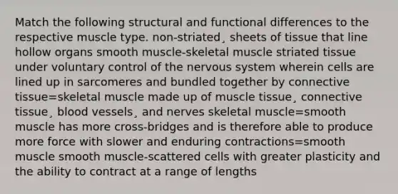 Match the following structural and functional differences to the respective muscle type. non-striated¸ sheets of tissue that line hollow organs smooth muscle-skeletal muscle striated tissue under voluntary control of the nervous system wherein cells are lined up in sarcomeres and bundled together by connective tissue=skeletal muscle made up of muscle tissue¸ connective tissue¸ blood vessels¸ and nerves skeletal muscle=smooth muscle has more cross-bridges and is therefore able to produce more force with slower and enduring contractions=smooth muscle smooth muscle-scattered cells with greater plasticity and the ability to contract at a range of lengths