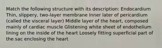 Match the following structure with its description: Endocardium Thin, slippery, two-layer membrane Inner later of pericardium (called the visceral layer) Middle layer of the heart, composed mainly of cardiac muscle Glistening white sheet of endothelium lining on the inside of the heart Loosely fitting superficial part of the sac enclosing the heart