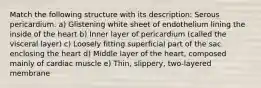 Match the following structure with its description: Serous pericardium. a) Glistening white sheet of endothelium lining the inside of the heart b) Inner layer of pericardium (called the visceral layer) c) Loosely fitting superficial part of the sac enclosing the heart d) Middle layer of the heart, composed mainly of cardiac muscle e) Thin, slippery, two-layered membrane