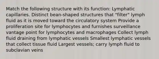 Match the following structure with its function: Lymphatic capillaries. Distinct bean-shaped structures that "filter" lymph fluid as it is moved toward the circulatory system Provide a proliferation site for lymphocytes and furnishes surveillance vantage point for lymphocytes and macrophages Collect lymph fluid draining from lymphatic vessels Smallest lymphatic vessels that collect tissue fluid Largest vessels; carry lymph fluid to subclavian veins