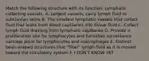 Match the following structure with its function: Lymphatic collecting vessels. A. Largest vessels; carry lymph fluid to subclavian veins B. The smallest lymphatic vessels that collect fluid that leaks from blood capillaries into tissue fluid C. Collect lymph fluid draining from lymphatic capillaries D. Provide a proliferation site for lymphocytes and furnishes surveillance vantage point for lymphocytes and macrophages E. Distinct bean-shaped structures that "filter" lymph fluid as it is moved toward the circulatory system F. I DON'T KNOW YET