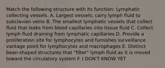 Match the following structure with its function: Lymphatic collecting vessels. A. Largest vessels; carry lymph fluid to subclavian veins B. The smallest lymphatic vessels that collect fluid that leaks from blood capillaries into tissue fluid C. Collect lymph fluid draining from lymphatic capillaries D. Provide a proliferation site for lymphocytes and furnishes surveillance vantage point for lymphocytes and macrophages E. Distinct bean-shaped structures that "filter" lymph fluid as it is moved toward the circulatory system F. I DON'T KNOW YET