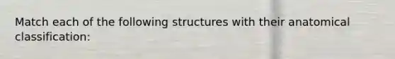 Match each of the following structures with their anatomical classification: