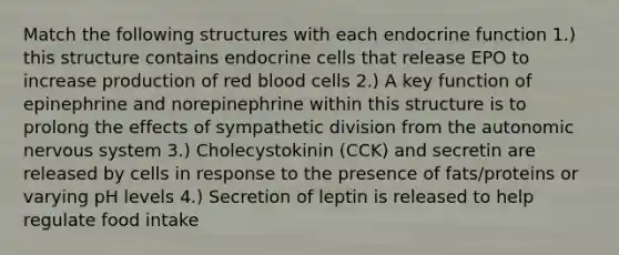 Match the following structures with each endocrine function 1.) this structure contains endocrine cells that release EPO to increase production of red blood cells 2.) A key function of epinephrine and norepinephrine within this structure is to prolong the effects of sympathetic division from <a href='https://www.questionai.com/knowledge/kMqcwgxBsH-the-autonomic-nervous-system' class='anchor-knowledge'>the autonomic nervous system</a> 3.) Cholecystokinin (CCK) and secretin are released by cells in response to the presence of fats/proteins or varying pH levels 4.) Secretion of leptin is released to help regulate food intake