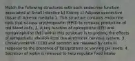 Match the following structures with each endocrine function associated a) Small intestine b) Kidney c) Adipose connective tissue d) Adrenal medulla 1. This structure contains endocrine cells that release erythropoietin (EPO) to increase production of red blood cells. 2. A key function of epinephrine (EPI) and norepinephrine (NE) within this structure is to prolong the effects of sympathetic division from the autonomic nervous system. 3. Cholecystokinin (CCK) and secretin are released by cells in response to the presence of fats/proteins or varying pH levels. 4. Secretion of leptin is released to help regulate food intake