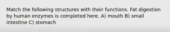 Match the following structures with their functions. Fat digestion by human enzymes is completed here. A) mouth B) small intestine C) stomach