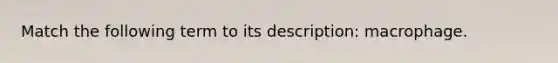 Match the following term to its description: macrophage.