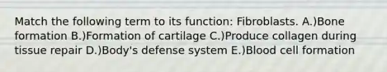 Match the following term to its function: Fibroblasts. A.)Bone formation B.)Formation of cartilage C.)Produce collagen during tissue repair D.)Body's defense system E.)Blood cell formation