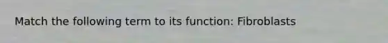 Match the following term to its function: Fibroblasts