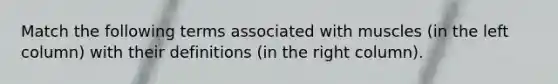 Match the following terms associated with muscles (in the left column) with their definitions (in the right column).