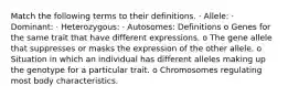 Match the following terms to their definitions. · Allele: · Dominant: · Heterozygous: · Autosomes: Definitions o Genes for the same trait that have different expressions. o The gene allele that suppresses or masks the expression of the other allele. o Situation in which an individual has different alleles making up the genotype for a particular trait. o Chromosomes regulating most body characteristics.