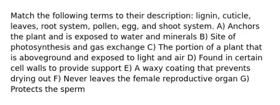 Match the following terms to their description: lignin, cuticle, leaves, root system, pollen, egg, and shoot system. A) Anchors the plant and is exposed to water and minerals B) Site of photosynthesis and gas exchange C) The portion of a plant that is aboveground and exposed to light and air D) Found in certain cell walls to provide support E) A waxy coating that prevents drying out F) Never leaves the female reproductive organ G) Protects the sperm