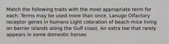 Match the following traits with the most appropriate term for each. Terms may be used more than once. Lanugo Olfactory receptor genes in humans Light coloration of beach mice living on barrier islands along the Gulf coast. An extra toe that rarely appears in some domestic horses