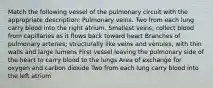 Match the following vessel of the pulmonary circuit with the appropriate description: Pulmonary veins. Two from each lung carry blood into the right atrium. Smallest veins; collect blood from capillaries as it flows back toward heart Branches of pulmonary arteries; structurally like veins and venules, with thin walls and large lumens First vessel leaving the pulmonary side of the heart to carry blood to the lungs Area of exchange for oxygen and carbon dioxide Two from each lung carry blood into the left atrium