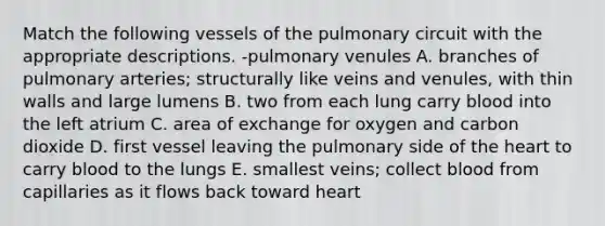 Match the following vessels of the pulmonary circuit with the appropriate descriptions. -pulmonary venules A. branches of pulmonary arteries; structurally like veins and venules, with thin walls and large lumens B. two from each lung carry blood into the left atrium C. area of exchange for oxygen and carbon dioxide D. first vessel leaving the pulmonary side of the heart to carry blood to the lungs E. smallest veins; collect blood from capillaries as it flows back toward heart