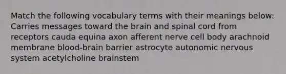 Match the following vocabulary terms with their meanings below: Carries messages toward the brain and spinal cord from receptors cauda equina axon afferent nerve cell body arachnoid membrane blood-brain barrier astrocyte autonomic nervous system acetylcholine brainstem