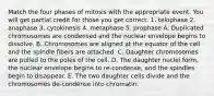 Match the four phases of mitosis with the appropriate event. You will get partial credit for those you get correct. 1. telophase 2. anaphase 3. cytokinesis 4. metaphase 5. prophase A. Duplicated chromosomes are condensed and the nuclear envelope begins to dissolve. B. Chromosomes are aligned at the equator of the cell and the spindle fibers are attached. C. Daughter chromosomes are pulled to the poles of the cell. D. The daughter nuclei form, the nuclear envelope begins to re-condense, and the spindles begin to disappear. E. The two daughter cells divide and the chromosomes de-condense into chromatin.