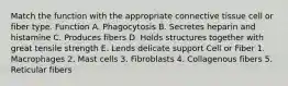 Match the function with the appropriate connective tissue cell or fiber type. Function A. Phagocytosis B. Secretes heparin and histamine C. Produces fibers D. Holds structures together with great tensile strength E. Lends delicate support Cell or Fiber 1. Macrophages 2. Mast cells 3. Fibroblasts 4. Collagenous fibers 5. Reticular fibers