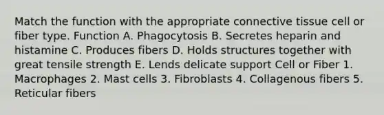 Match the function with the appropriate connective tissue cell or fiber type. Function A. Phagocytosis B. Secretes heparin and histamine C. Produces fibers D. Holds structures together with great tensile strength E. Lends delicate support Cell or Fiber 1. Macrophages 2. Mast cells 3. Fibroblasts 4. Collagenous fibers 5. Reticular fibers