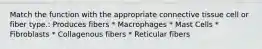 Match the function with the appropriate connective tissue cell or fiber type.: Produces fibers * Macrophages * Mast Cells * Fibroblasts * Collagenous fibers * Reticular fibers