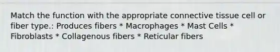 Match the function with the appropriate connective tissue cell or fiber type.: Produces fibers * Macrophages * Mast Cells * Fibroblasts * Collagenous fibers * Reticular fibers